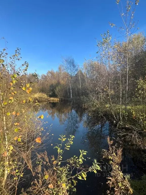 Участок в Московская область, Дедовск Истра городской округ,  (6.0 ... - Фото 0