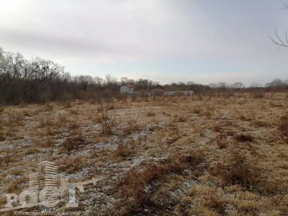 Участок в Приморский край, Артемовский городской округ, с. Ясное ул. ... - Фото 0