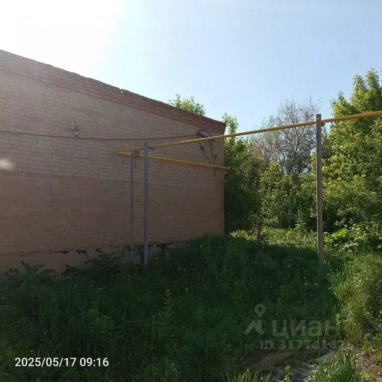 Торговая площадь в Оренбургская область, Оренбург с. Краснохолм, ул. ... - Фото 1