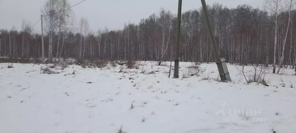 Участок в Челябинская область, Красноармейский район, Луговское с/пос, ... - Фото 1