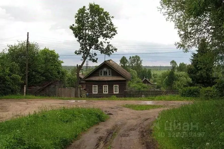 Участок в Тверская область, Зубцовский муниципальный округ, д. Красный ... - Фото 1