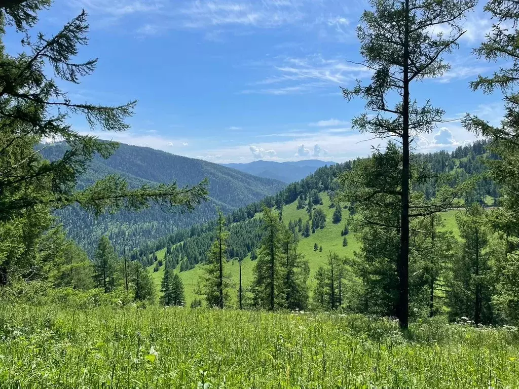 Участок в Алтай, Чемальский район, Седьмое небо кп  (100.62 сот.) - Фото 1