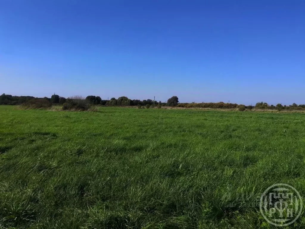 Участок в Ленинградская область, Выборгский район, пос. Гончарово  ... - Фото 2
