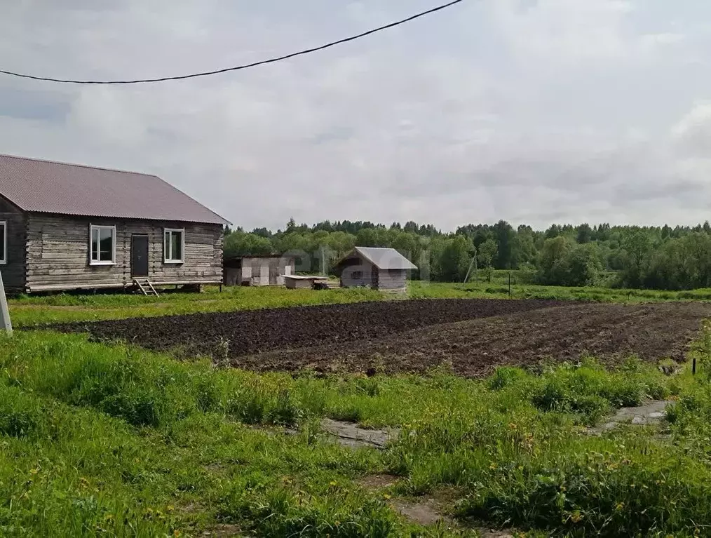 Участок в Архангельская область, Холмогорский муниципальный округ, д. ... - Фото 2
