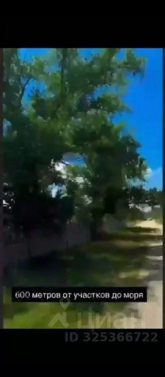 Участок в Крым, Ленинский район, Мысовское с/пос, с. Семеновка ул. ... - Фото 2