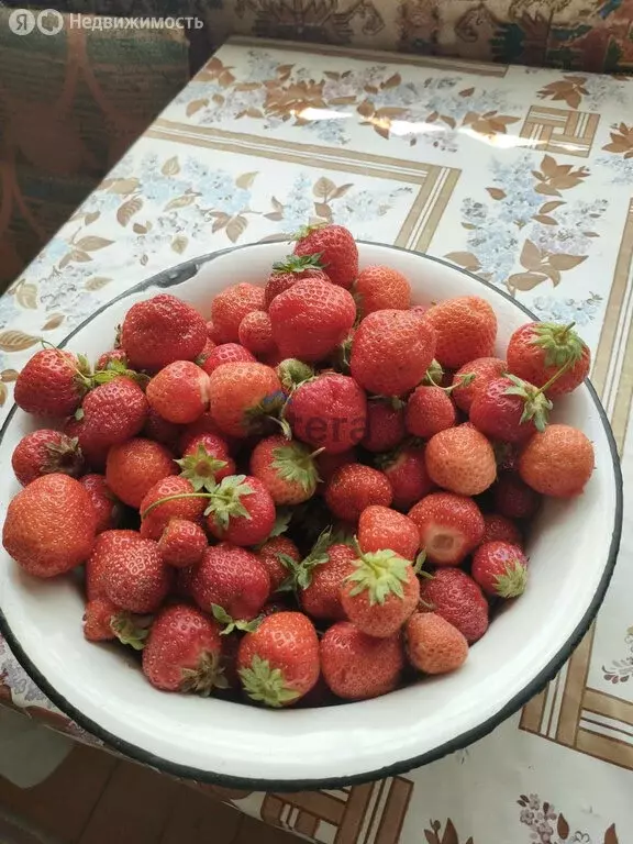 Дом в Высокогорский район (35 м) - Фото 2