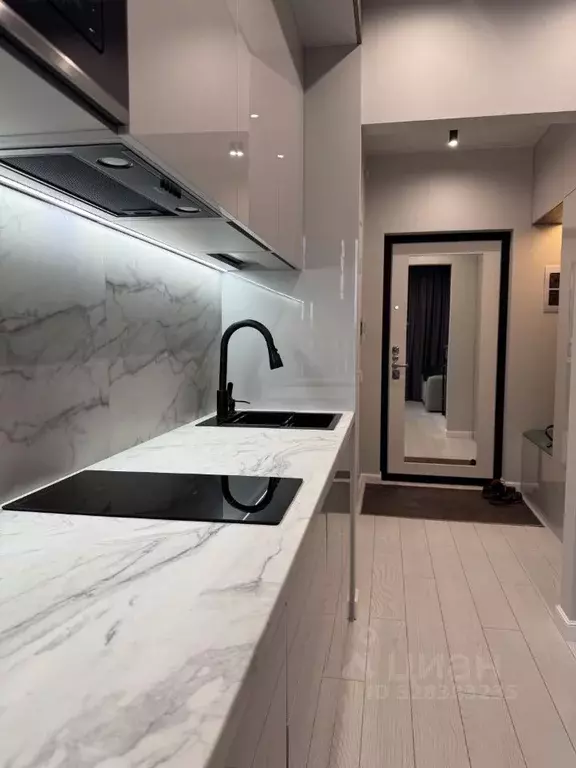 Студия Санкт-Петербург Прилукская ул., 28к2 (27.3 м) - Фото 1