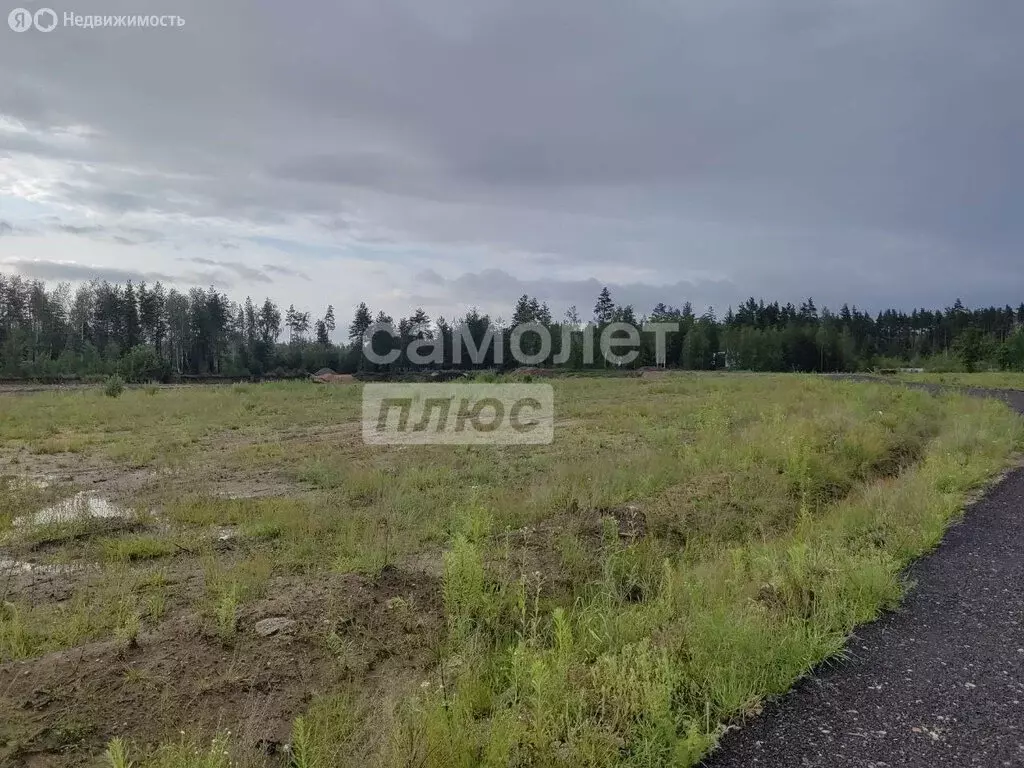Участок в Электроугли, микрорайон Светлый (6.2 м) - Фото 1