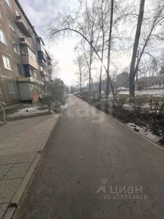 Помещение свободного назначения в Иркутская область, Братск ул. ... - Фото 1