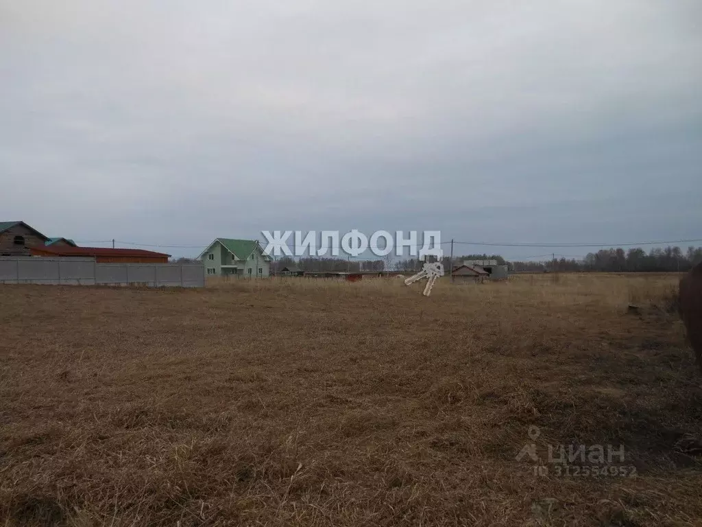 Участок в Новосибирская область, Новосибирский район, Морской ... - Фото 1