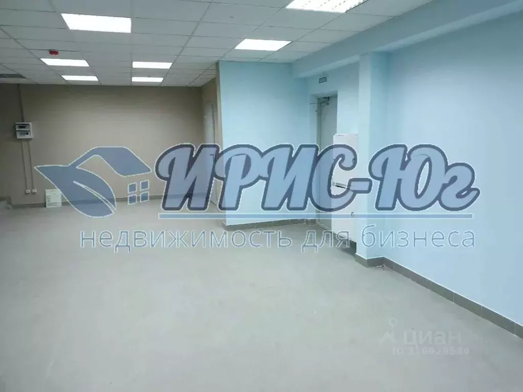 Офис в Краснодарский край, Краснодар Центральный мкр, ул. Кубанская ... - Фото 1