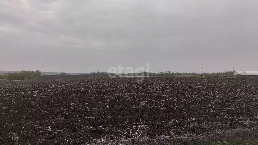 Участок в Белгородская область, Белгородский район, Дубовское с/пос, ... - Фото 0