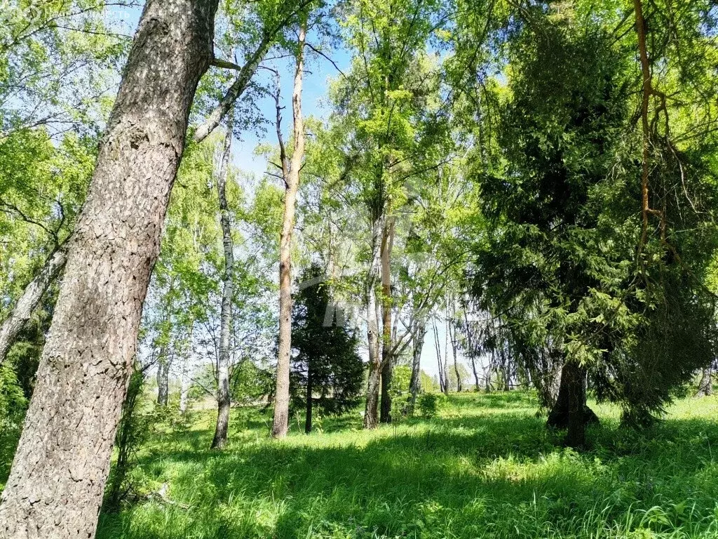 Участок в Московская область, городской округ Домодедово, деревня ... - Фото 1