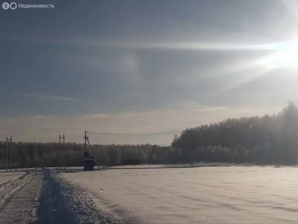Участок в Московская область, Дмитровский муниципальный округ, дачный ... - Фото 1