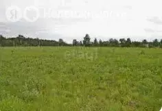 Участок в Пермский муниципальный округ, село Башкултаево (320 м) - Фото 2