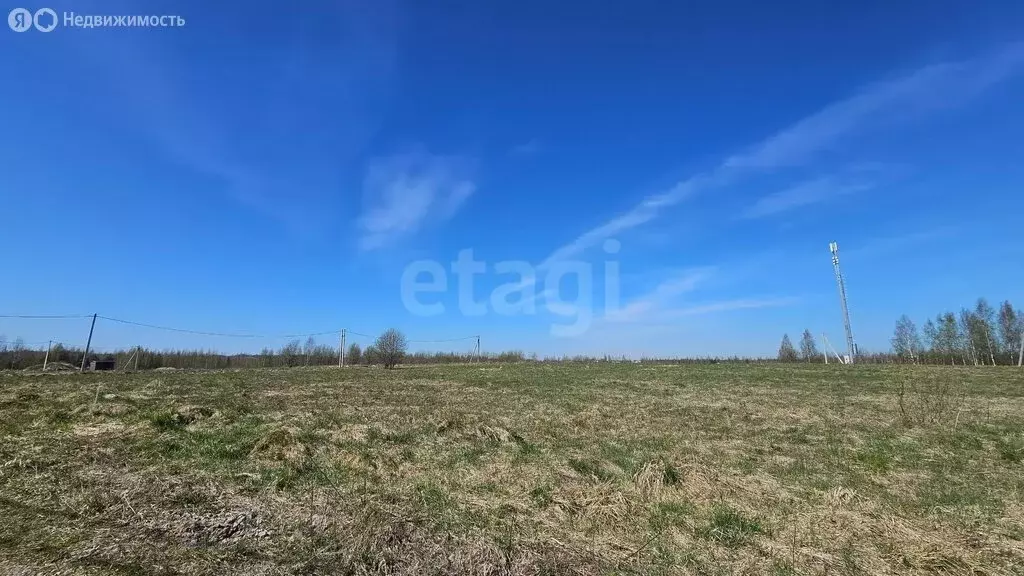 Участок в Колтушское городское поселение, КП Семь ручьёв, Боровая ... - Фото 2