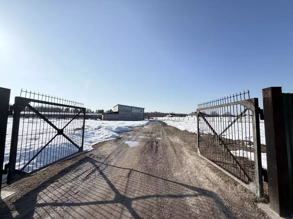 Производственное помещение в Московская область, Богородский городской ... - Фото 1