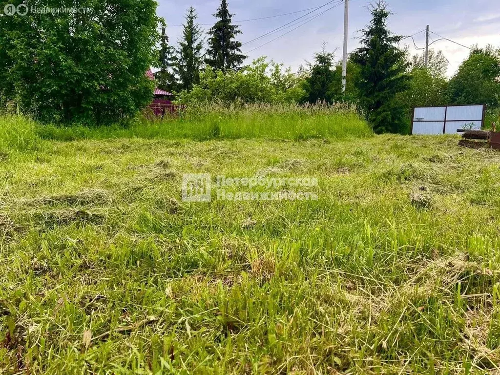 Участок в деревня Кусино, улица Волна-1 (18 м) - Фото 2