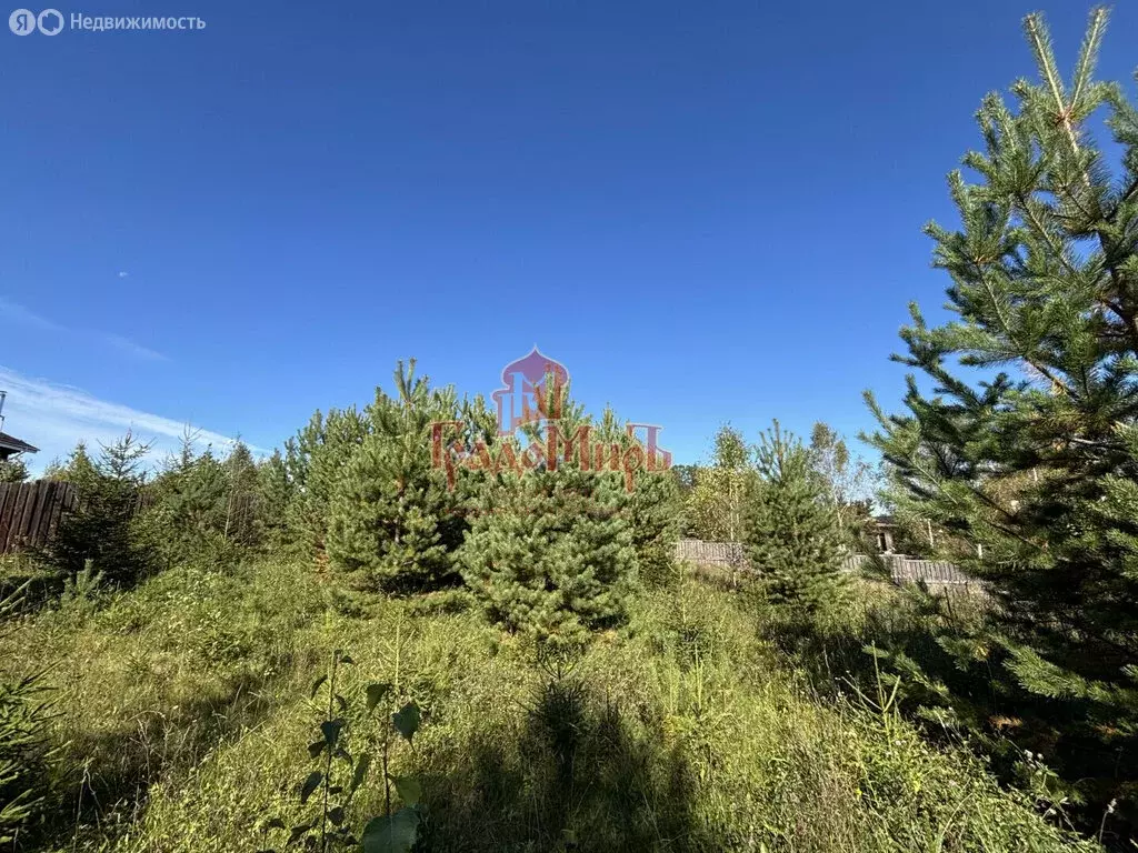 Участок в Дмитров, Советская площадь (12 м) - Фото 1