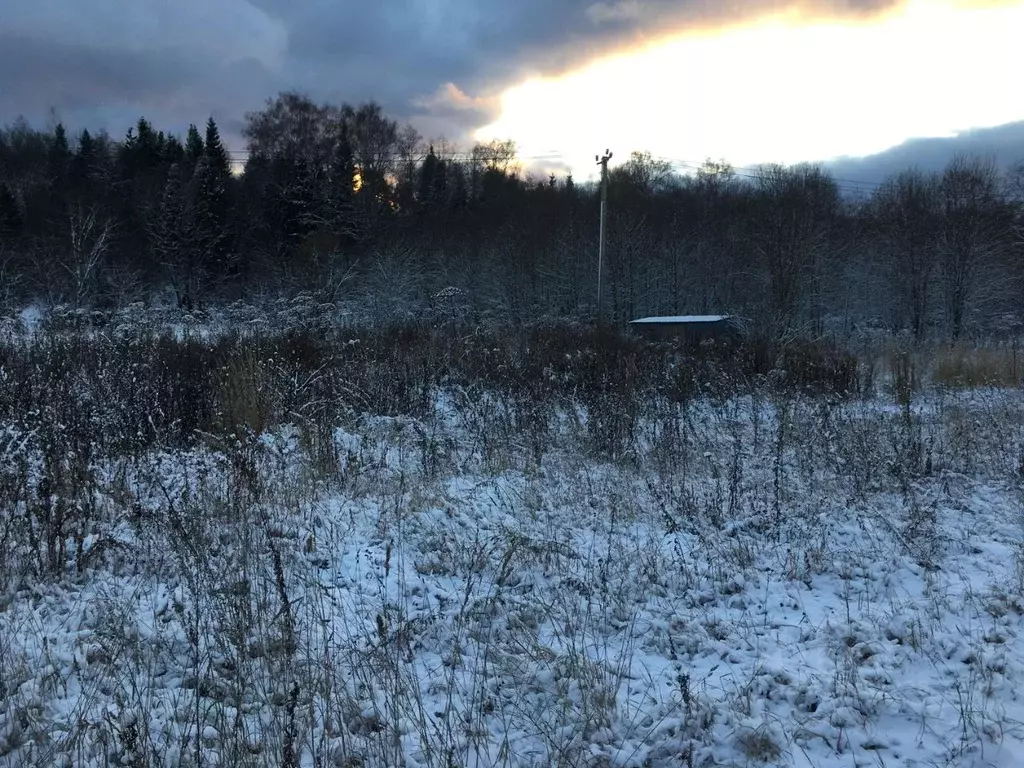 Участок в Московская область, Пушкинский городской округ, д. Раково  ... - Фото 1