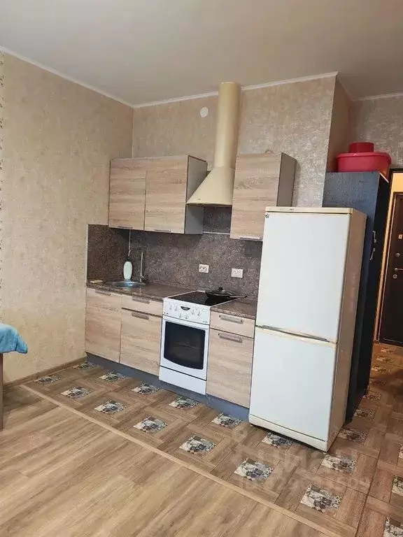 Студия Санкт-Петербург пос. Шушары, ул. Вишерская, 2 (26.0 м) - Фото 1