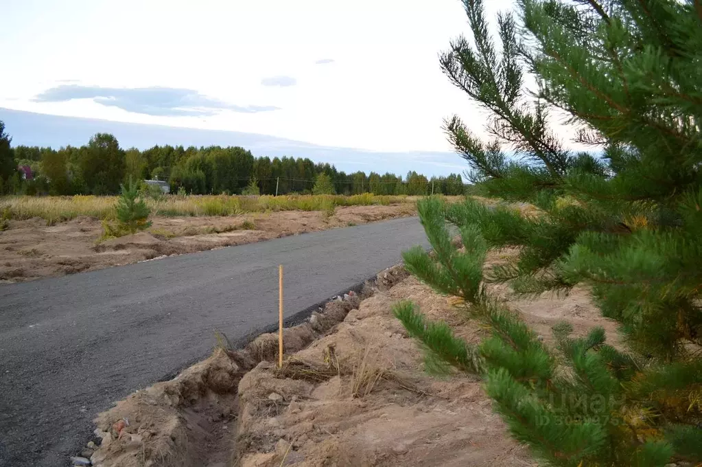 Участок в Московская область, Истра городской округ, Карцево кп 589 ... - Фото 0