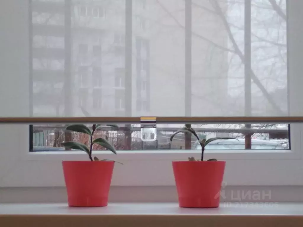 Офис в Санкт-Петербург просп. Обуховской обороны, 197 (8 м) - Фото 1