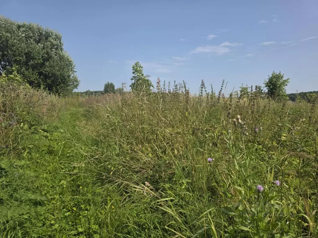 Участок в Московская область, Клин городской округ, д. Ковылино  ... - Фото 1