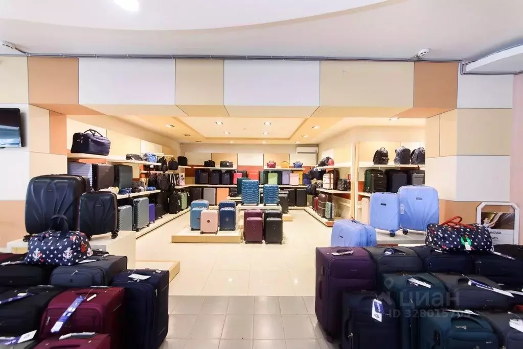 Торговая площадь в Томская область, Томск просп. Фрунзе, 46 (196 м) - Фото 2