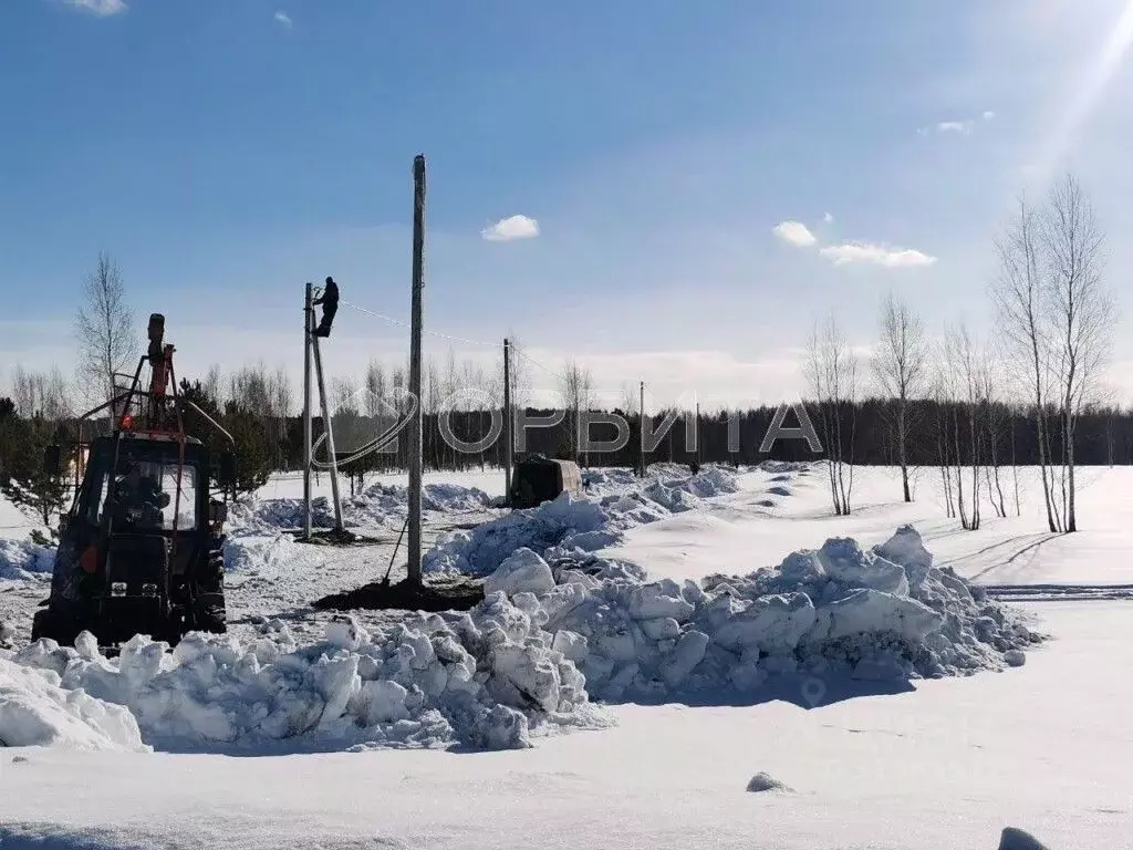 Участок в Тюменская область, Нижнетавдинский район, Царицыно СНТ  (7.0 ... - Фото 1