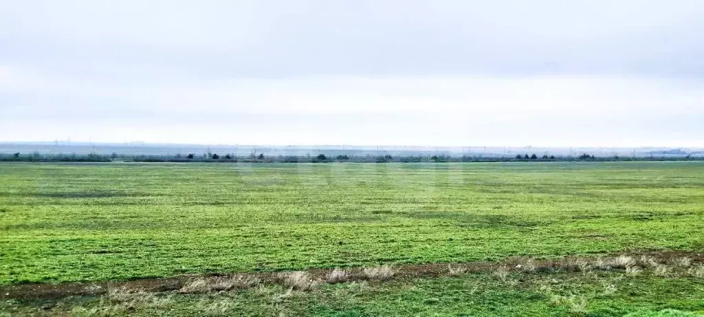 Участок в Крым, Феодосия ул. Станционная (491.1 сот.) - Фото 1
