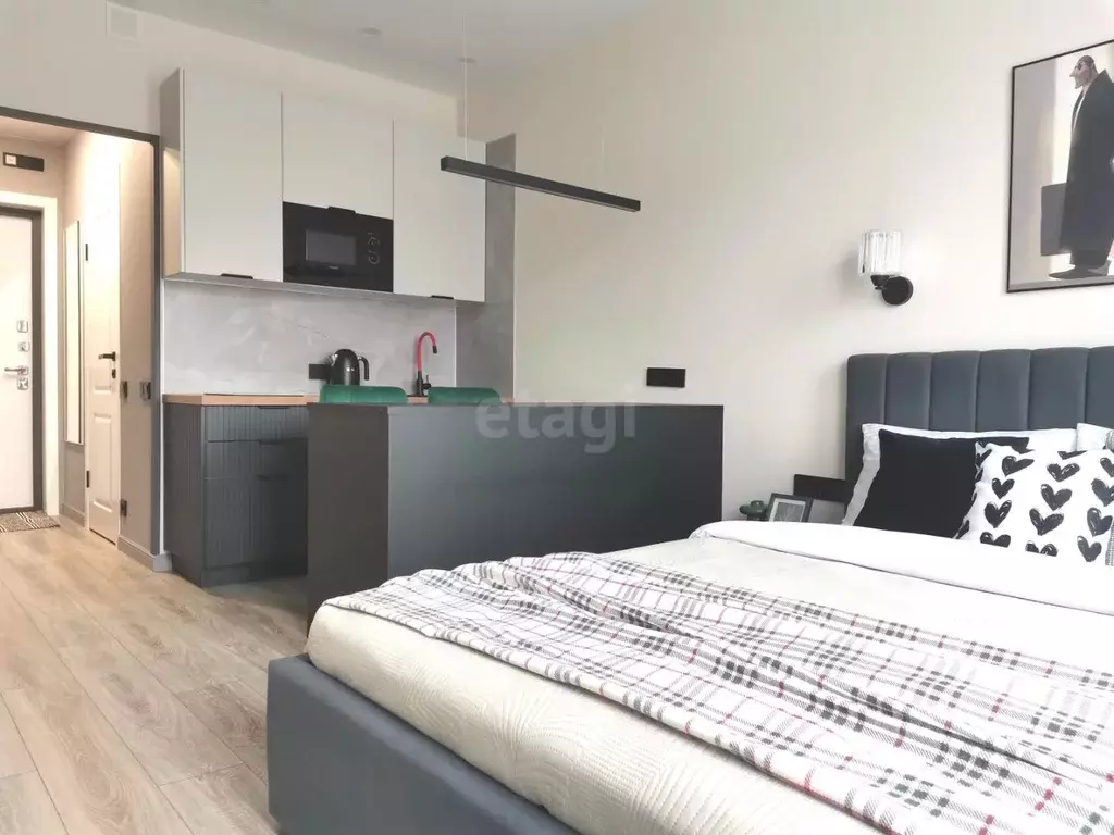 Студия Москва Производственная ул., 19Ак2 (21.7 м) - Фото 2