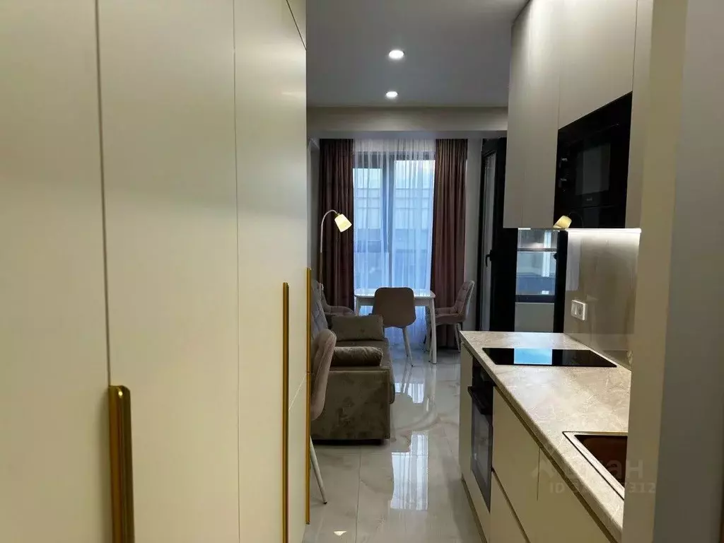 1-к кв. Краснодарский край, Сочи Пластунская ул., 104Бк3 (29.0 м) - Фото 1