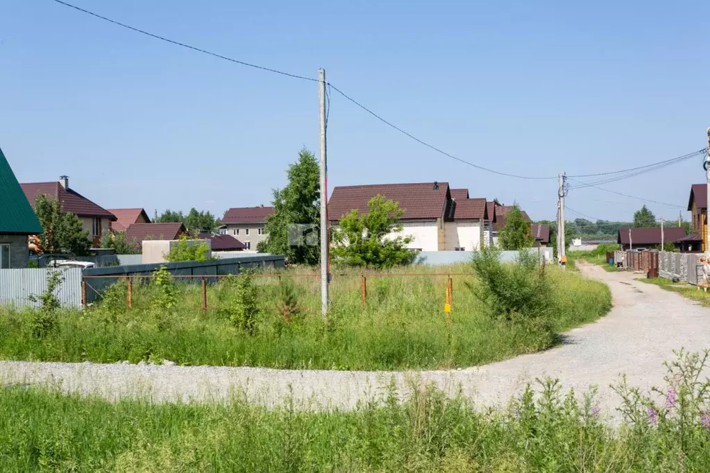 Участок в Новосибирская область, Новосибирский район, Кудряшовский ... - Фото 0