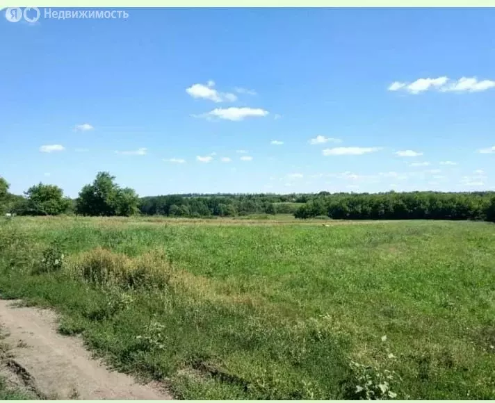 Участок в Ейск, СТ Виктория (5 м) - Фото 0