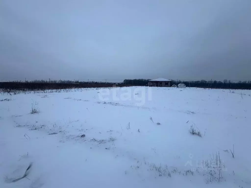 Участок в Курская область, Курск ул. Медовая (10.0 сот.) - Фото 1