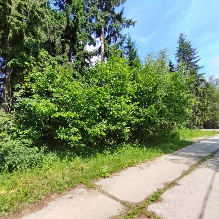 Участок в Московская область, Одинцовский городской округ, д. Сивково, ... - Фото 1