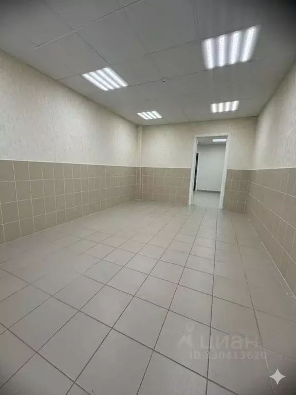 Помещение свободного назначения в Москва Мячковский бул., 18К1 (21 м) - Фото 2