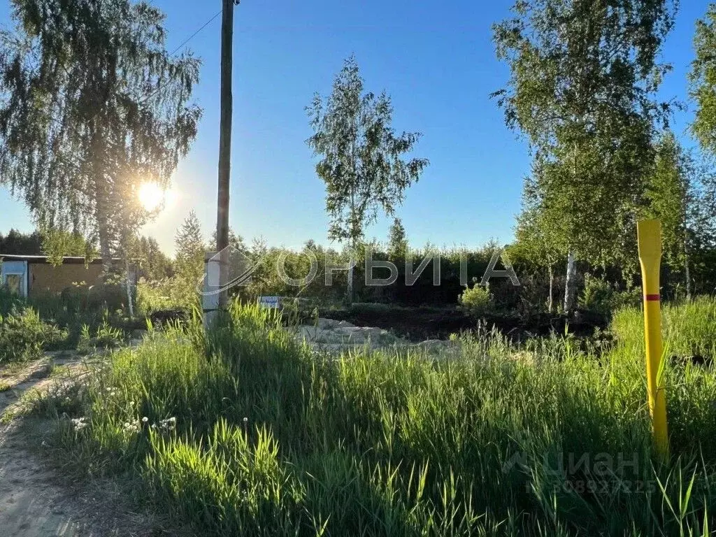 Участок в Тюменская область, Нижнетавдинский район, Строитель ТСН  ... - Фото 1