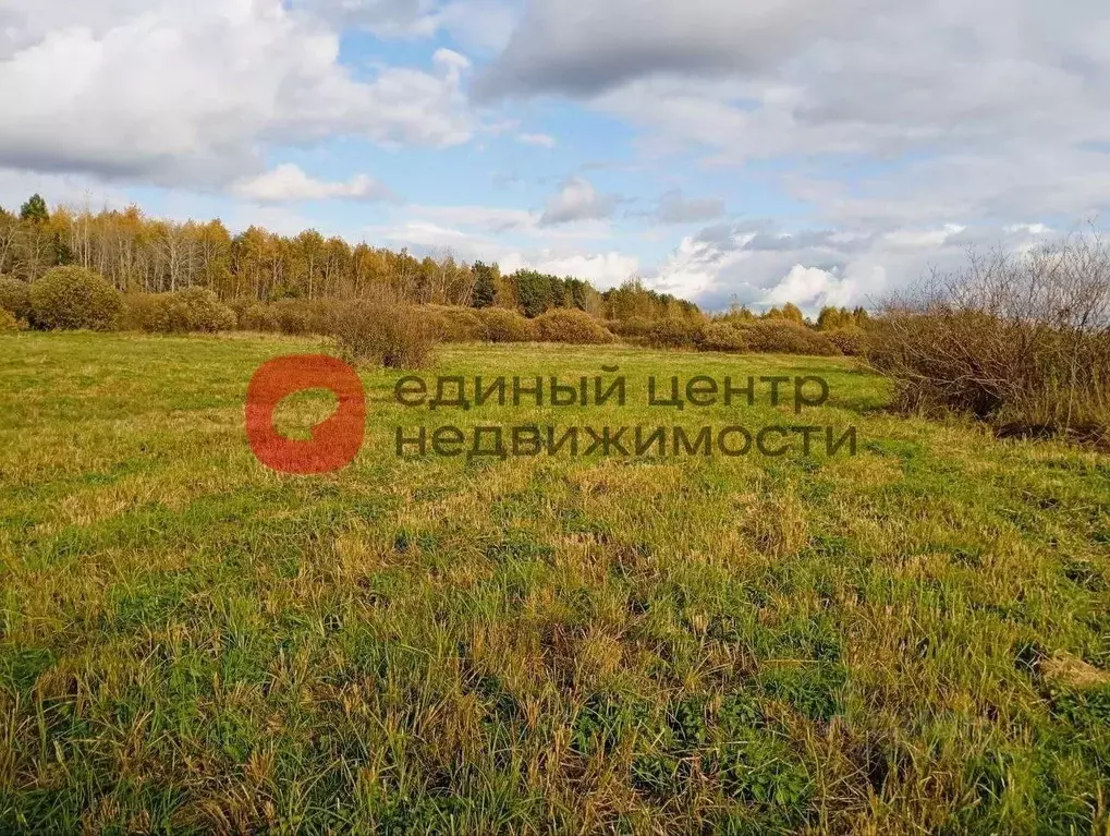 Участок в Тюменская область, Ярковский муниципальный округ, д. Мотуши  ... - Фото 2