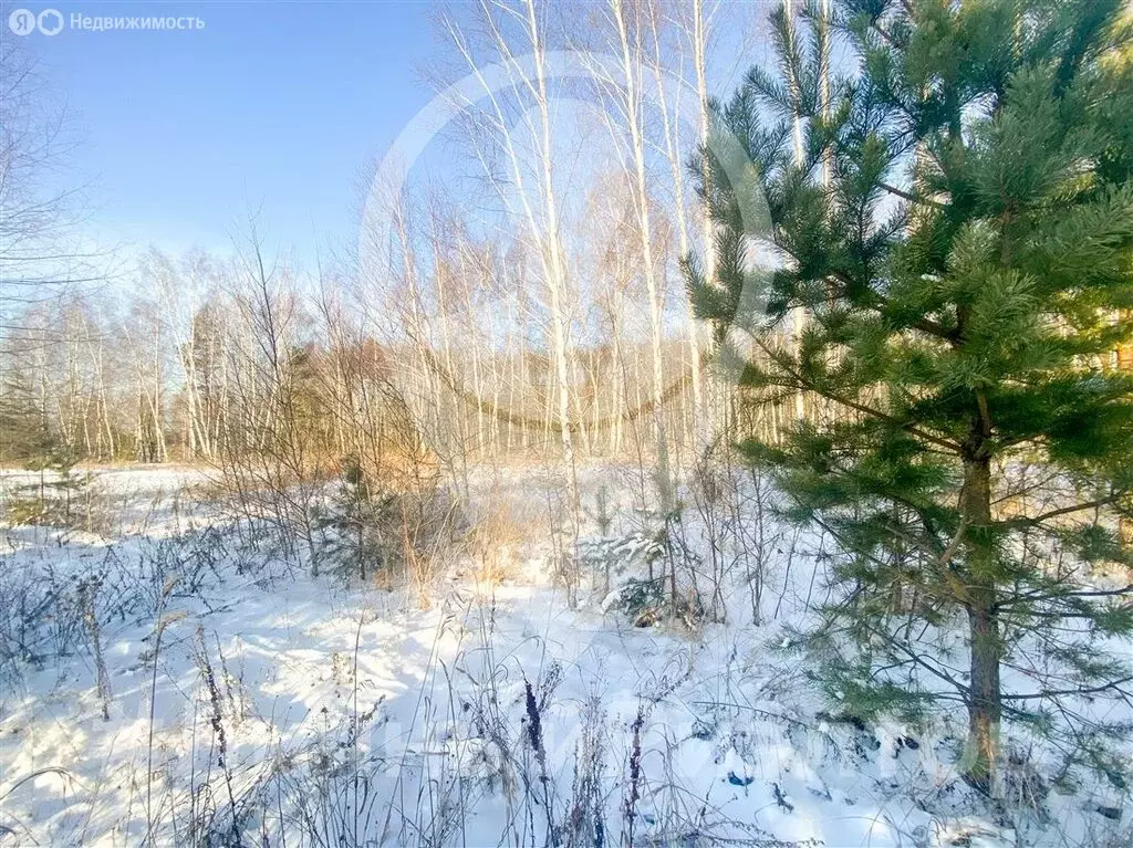 Участок в Полянское сельское поселение, Автодорога Рязань-Клепики, ... - Фото 0