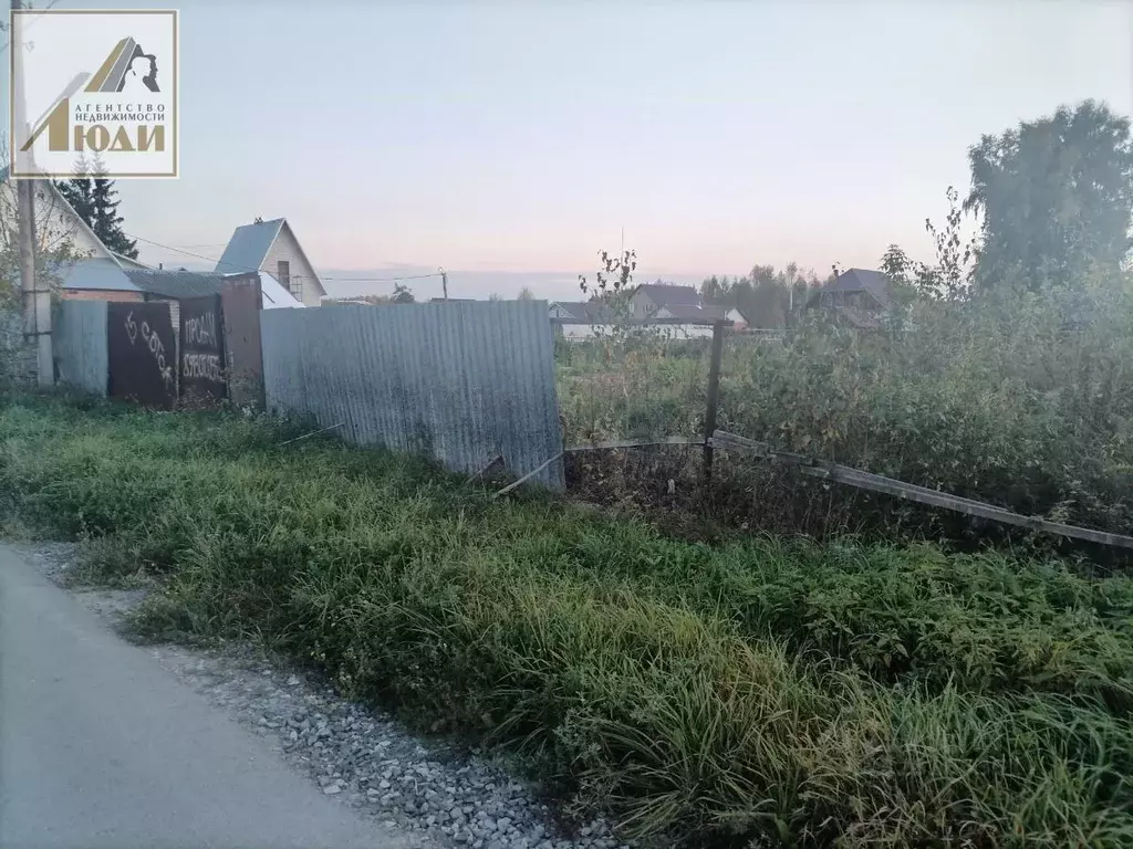 Участок в Новосибирская область, Новосибирский район, Кудряшовский ... - Фото 1