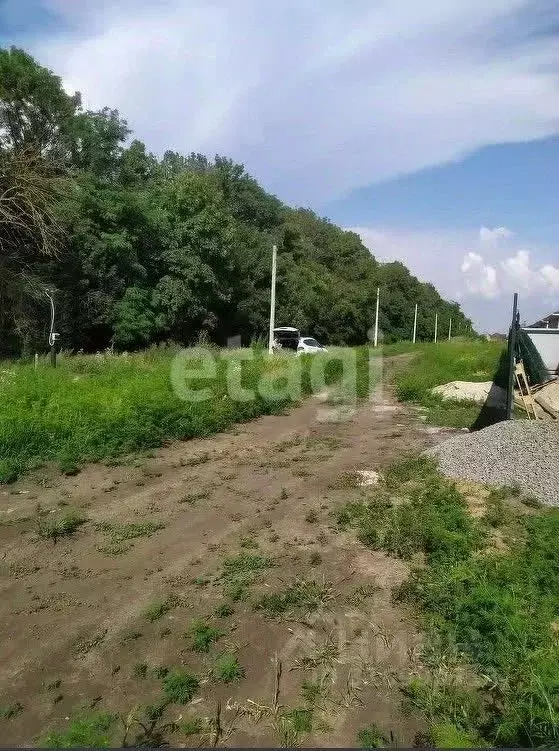 Участок в Ростовская область, Мясниковский район, Красный Крым хут. ... - Фото 1