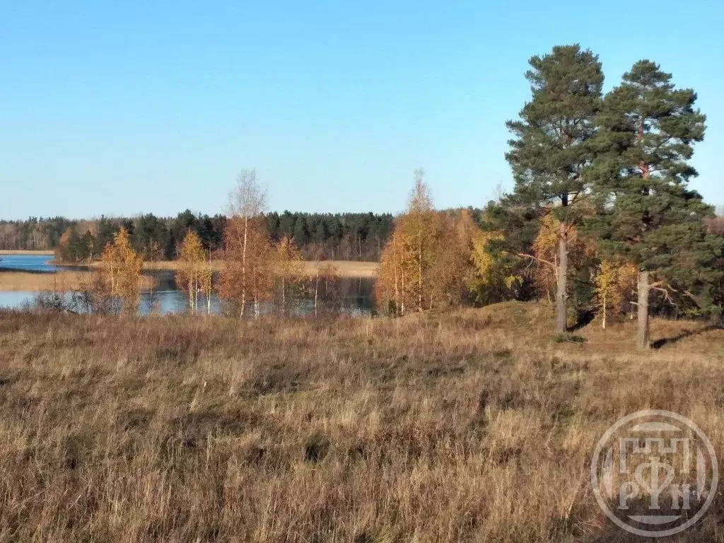 Участок в Карелия, Лахденпохский муниципальный округ, пос. Асилан  ... - Фото 1