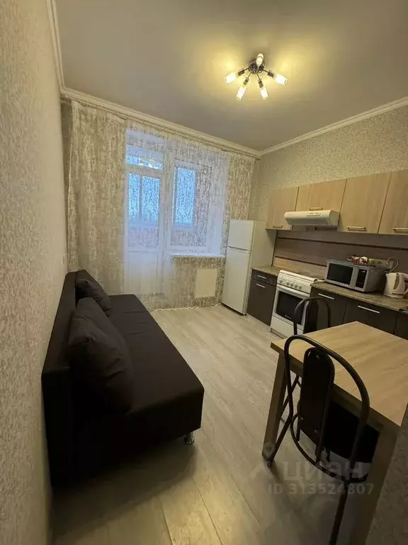 1-к кв. Московская область, Апрелевка Наро-Фоминский городской округ, ... - Фото 1