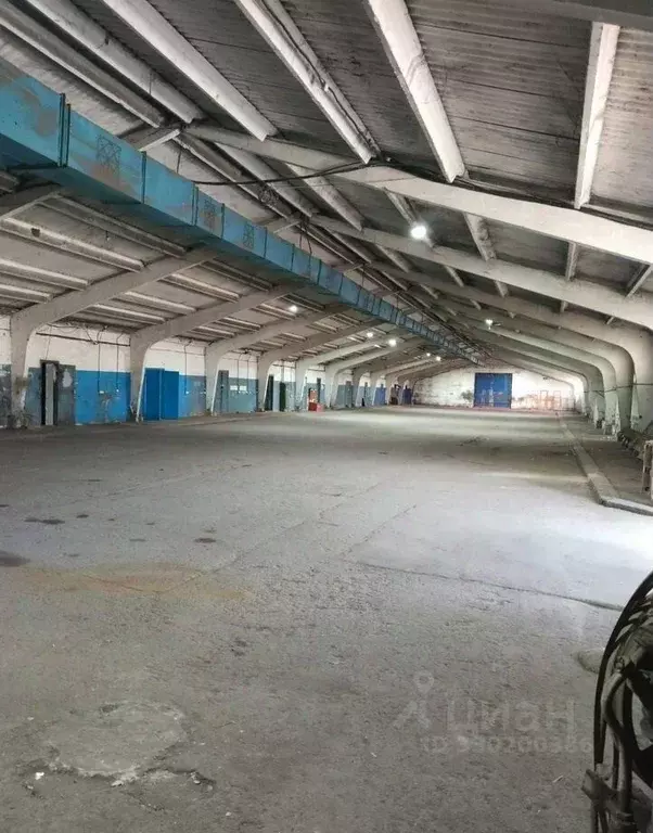 Помещение свободного назначения в Краснодарский край, Каневская ст-ца ... - Фото 2