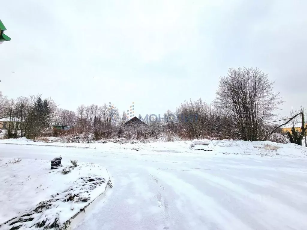 Участок в Нижегородская область, Городецкий муниципальный округ, с. ... - Фото 1