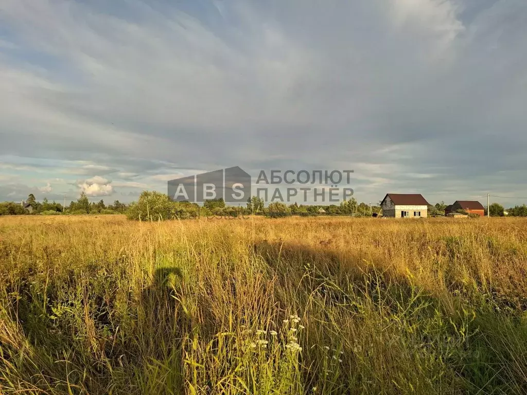 Участок в Новгородская область, Новгородский район, д. Борок  (38.1 ... - Фото 1