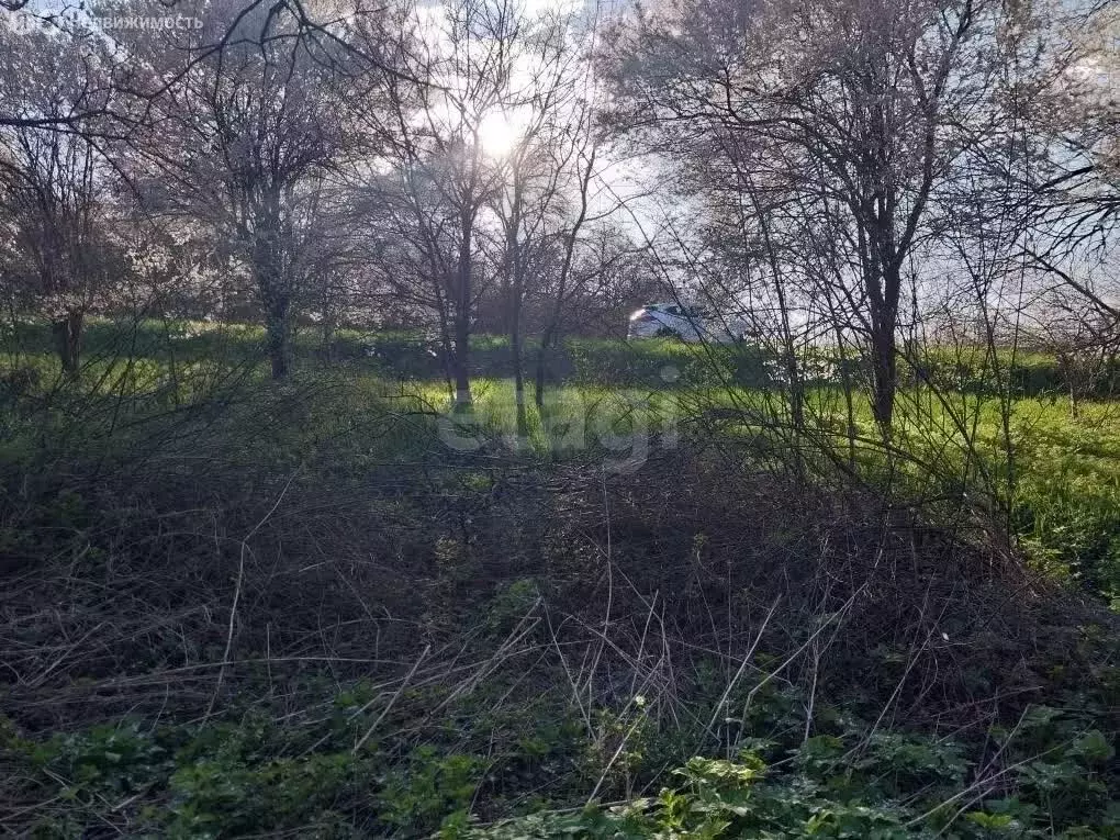 Участок в станица Кужорская, улица Островского (12 м) - Фото 1