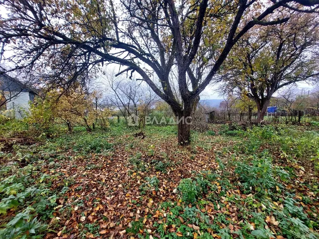 Участок в Калужская область, Калуга городской округ, д. Тимошево  (5.4 ... - Фото 2